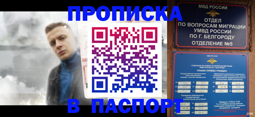 временная регистрация в Коле